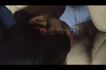 哈爾濱男S調(diào)教99年騷母狗 動圖特輯GIF