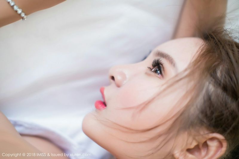 肉畜與乳畜