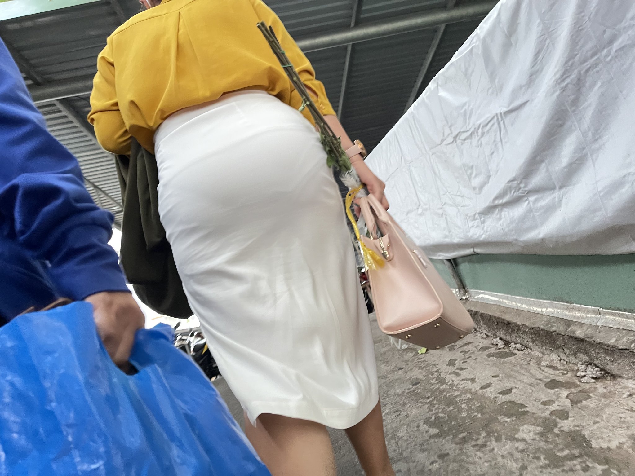 喜歡越南的進(jìn)來看看看
