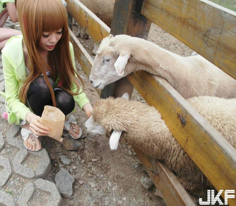 網(wǎng)路正妹蔡苡柔小萌