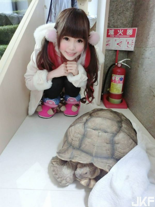 網(wǎng)路正妹蔡苡柔小萌