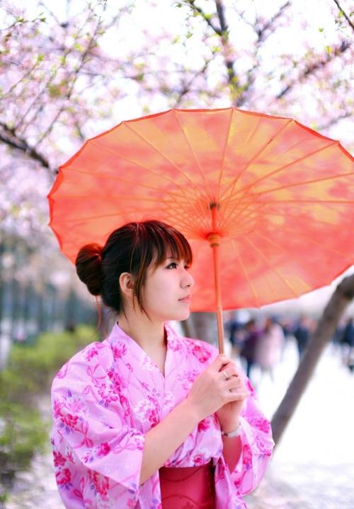 櫻花樹下的和風(fēng)浴衣美女溫柔似水