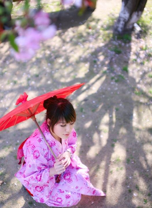 櫻花樹下的和風(fēng)浴衣美女溫柔似水