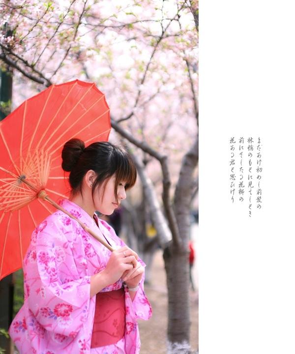櫻花樹下的和風(fēng)浴衣美女溫柔似水
