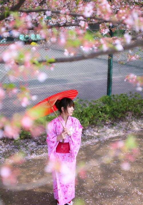 櫻花樹下的和風(fēng)浴衣美女溫柔似水