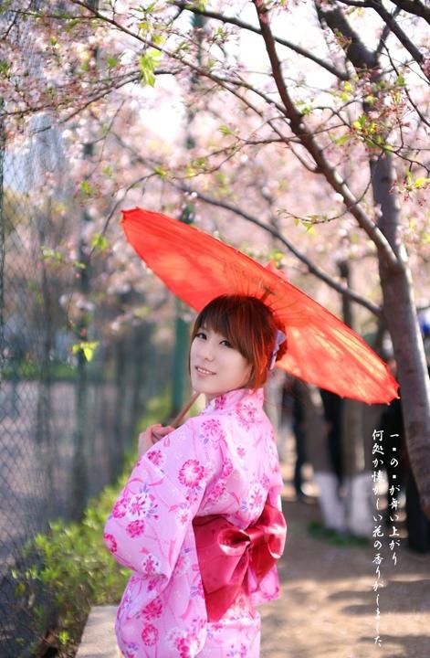 櫻花樹下的和風(fēng)浴衣美女溫柔似水