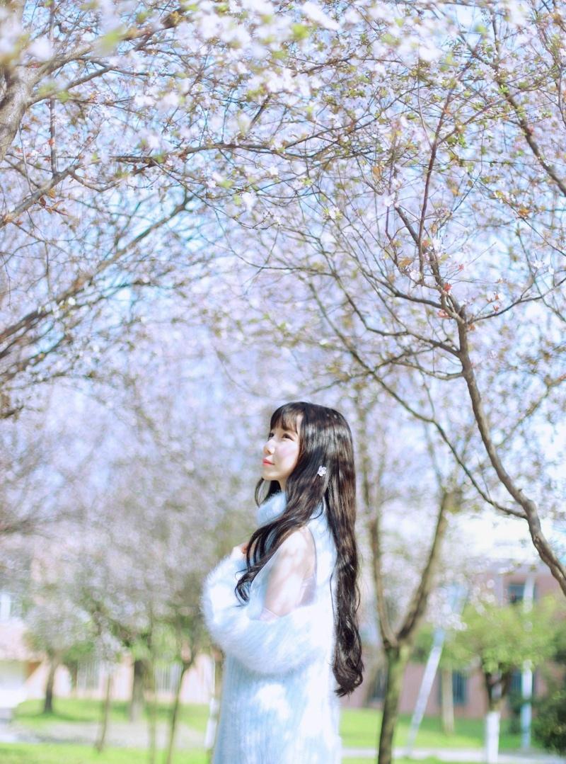 清純性感美女李大夢(mèng)櫻花雨中的絕美寫(xiě)真
