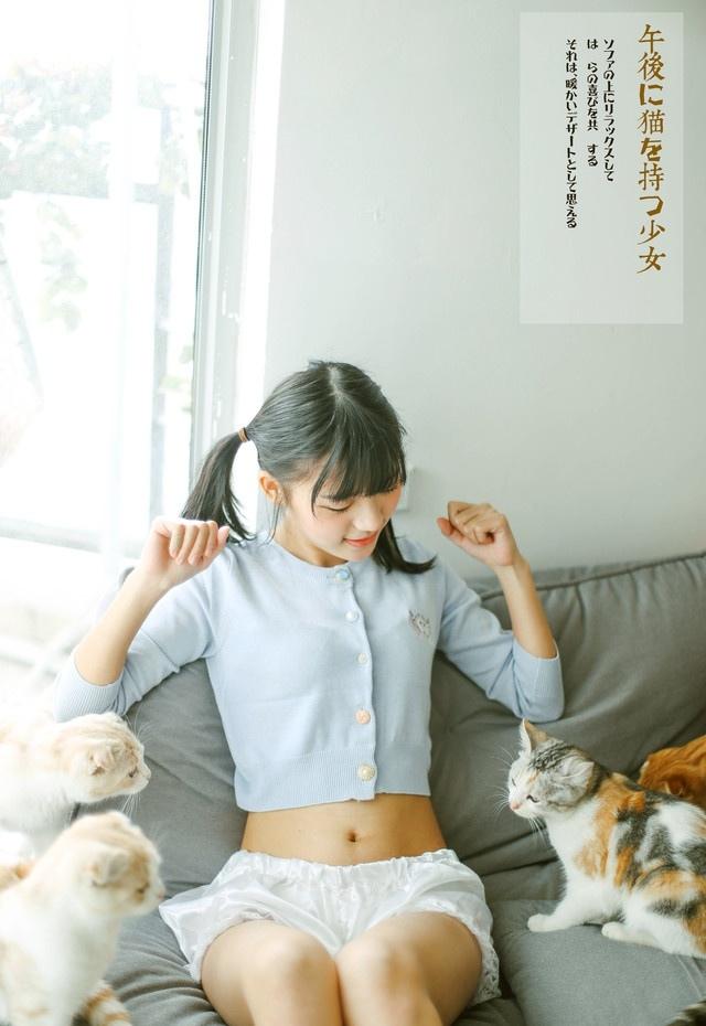 美少女與貓的午后快樂(lè)時(shí)間