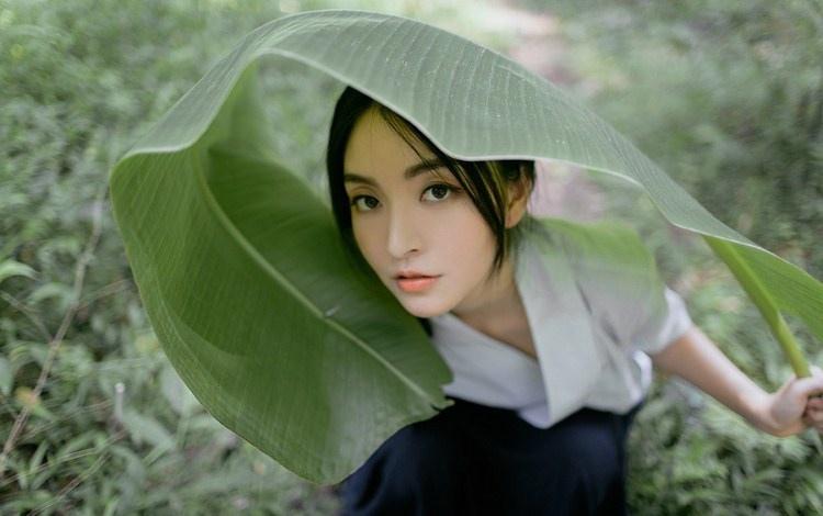 芭蕉葉下治愈系純情迷人美女圖片