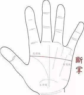 左手?jǐn)嗾聘毁F命！4中女人好命手相
