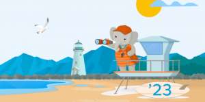 女人性工具(Salesforce Summer ’23重磅來(lái)襲10個(gè)亮點(diǎn)功能搶先看)
