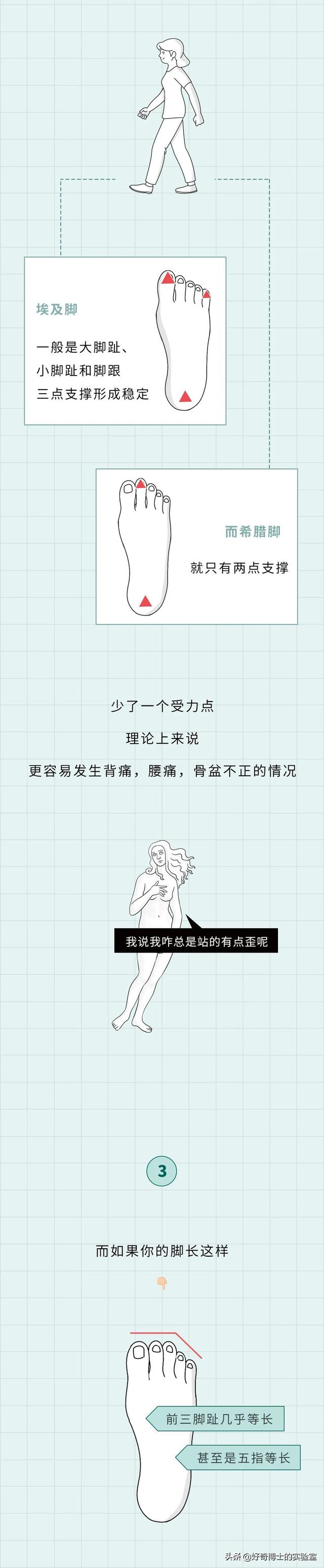 埃及腳、希臘腳、羅馬腳...哪種腳型的美女帥哥最多？