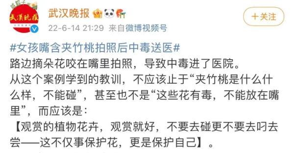 女孩和花合影中毒，網(wǎng)友：安陵容的話要信……