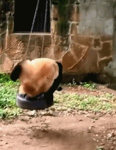 “妹子睡覺把腳伸我這，要給她點教訓嗎？”哈哈哈撓她的腳心才對