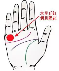 左手?jǐn)嗾聘毁F命！4中女人好命手相