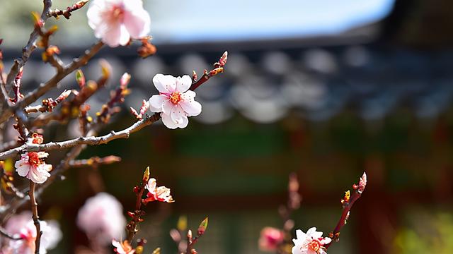 雷姓全集：10個(gè)品貌非凡的寶寶名，個(gè)個(gè)都富有韻味