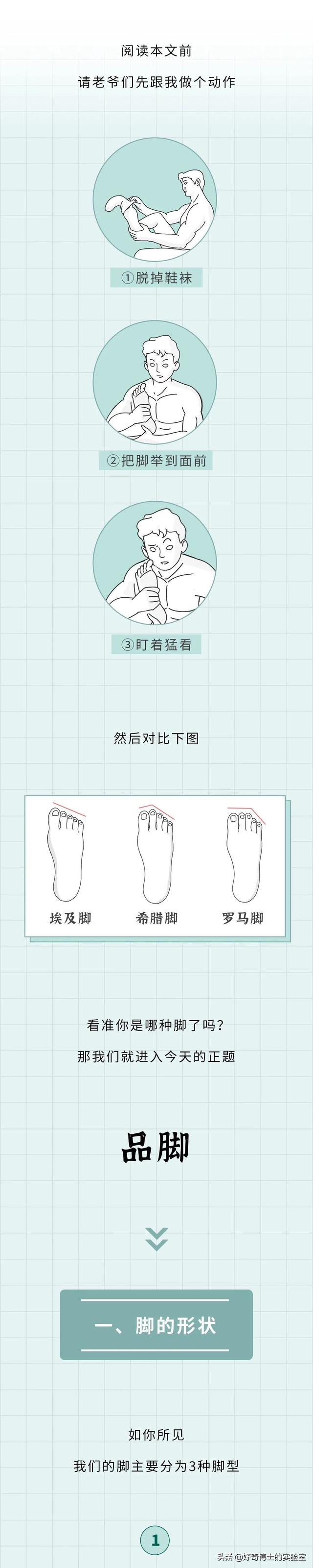埃及腳、希臘腳、羅馬腳...哪種腳型的美女帥哥最多？
