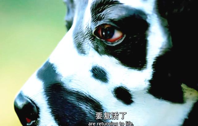 為什么說上帝像個喜怒無常的婦人？