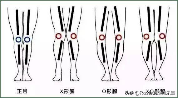 熱巴翹臀、長(zhǎng)腿又刷屏，羨慕眼饞？4招教你美臀瘦腿自信battle