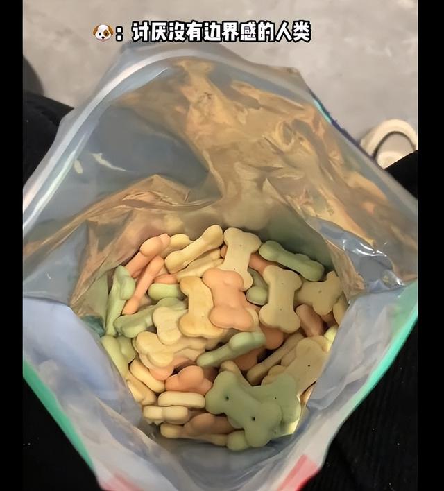 女子吃零食狗子一直盯著自己，低頭看后語(yǔ)塞了：我真不是故意的