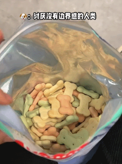 女子吃零食狗子一直盯著自己，低頭看后語(yǔ)塞了：我真不是故意的