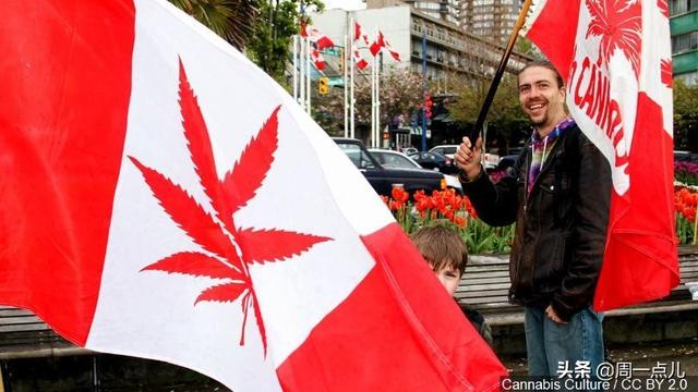 《吸大麻的孩子》：我居然從這個(gè)毒販身上看到了成功三要素