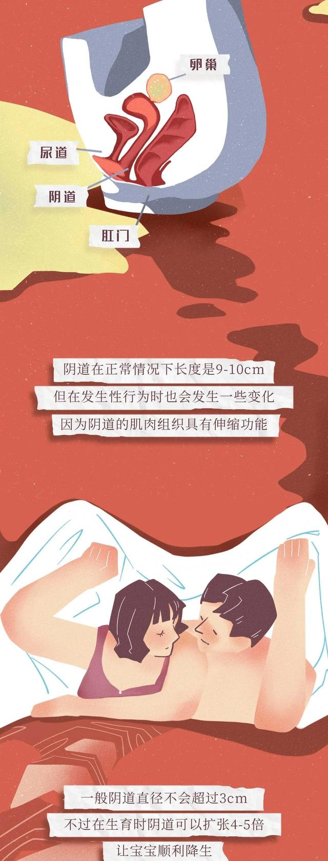 女孩子一定要了解的“陰道”小知識