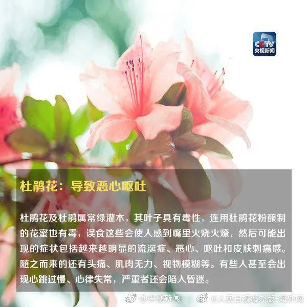 女孩和花合影中毒，網(wǎng)友：安陵容的話要信……