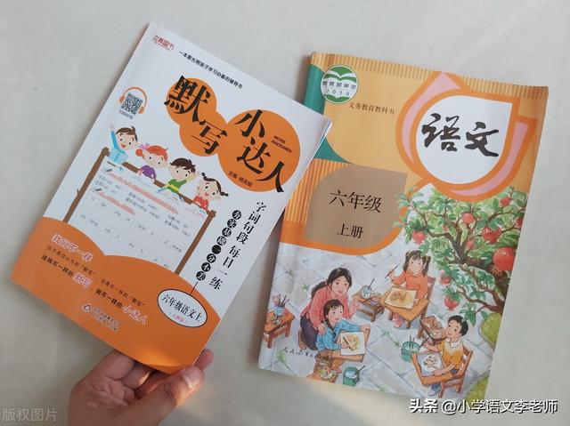 關(guān)于部編版小學(xué)語(yǔ)文教材，我忍不住要吐槽一下，你贊同哪一點(diǎn)？