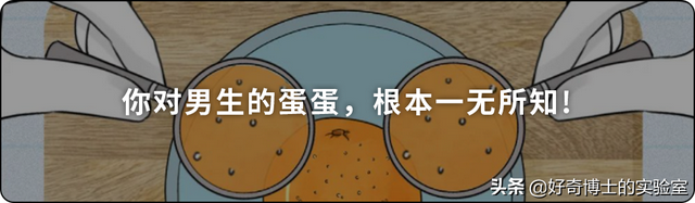 埃及腳、希臘腳、羅馬腳...哪種腳型的美女帥哥最多？