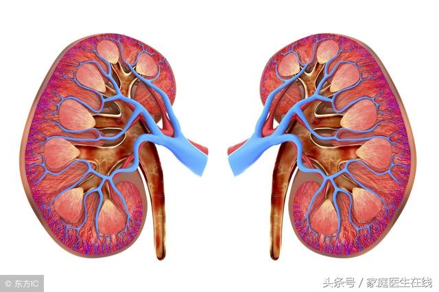 致女人：想要緩解腎虛？這2個方法請全部用上