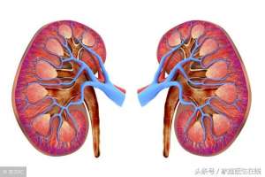 女人腎虛怎么辦(致女人：想要緩解腎虛？這2個(gè)方法請(qǐng)全部用上)