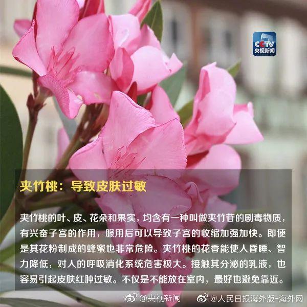 女孩和花合影中毒，網(wǎng)友：安陵容的話要信……
