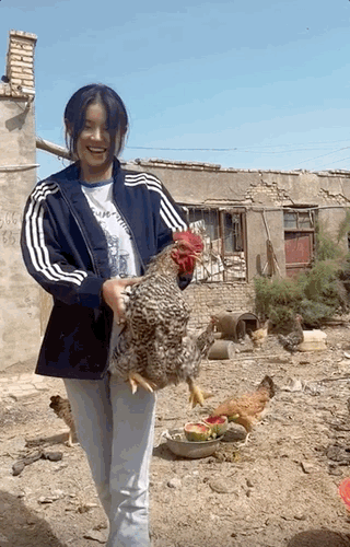 “噶羊少女”一夜爆火，驚呆4000w網(wǎng)友：沒想到下手竟然那么狠？