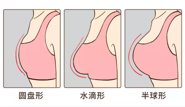 原來女生的胸部形狀有那么多種？東亞女性胸部偏小真是基因所致？