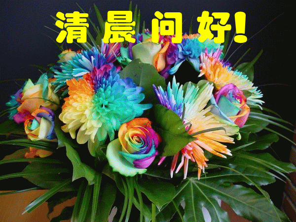非常漂亮的美女早上好動(dòng)態(tài)表情圖片 早晨好幸福暖心的美女問候表情