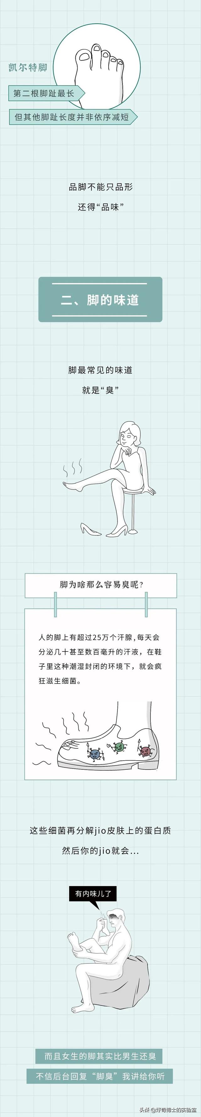 埃及腳、希臘腳、羅馬腳...哪種腳型的美女帥哥最多？