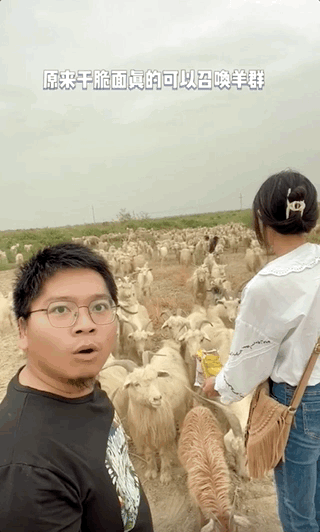 “噶羊少女”一夜爆火，驚呆4000w網(wǎng)友：沒想到下手竟然那么狠？