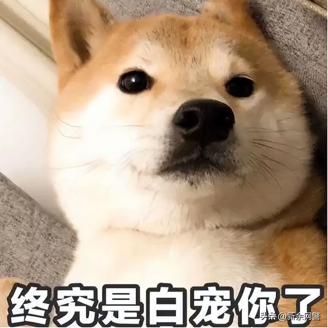 辣眼睛！網(wǎng)上招嫖團伙“女神”真容曝光