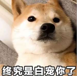 美女曝光小游戲(辣眼睛網(wǎng)上招嫖團(tuán)伙“女神”真容曝光)