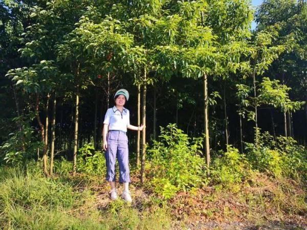 金融碩士回老家種田？“造火箭的少女”回鄉(xiāng)種樹？他們究竟想干啥？