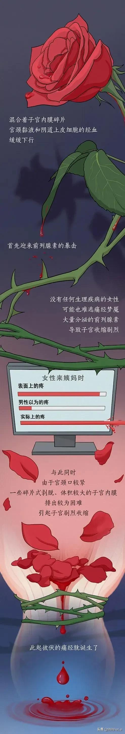 女生“大姨媽”全過程解析，男生能堅(jiān)持看完嗎？