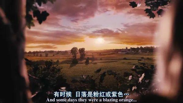 2021高考結(jié)束了，推薦值得看的電影