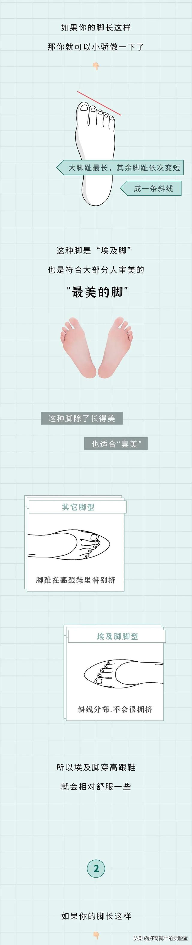 埃及腳、希臘腳、羅馬腳...哪種腳型的美女帥哥最多？