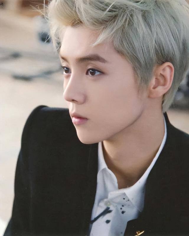 鹿晗:從偶像到演員的跨界之路