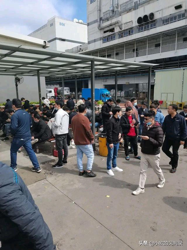 深圳打工者：好不容易進(jìn)女孩子多的工廠，發(fā)現(xiàn)她們要求都好高