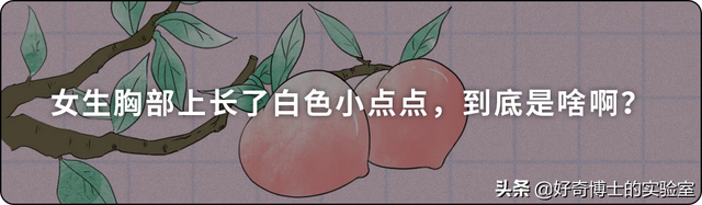 埃及腳、希臘腳、羅馬腳...哪種腳型的美女帥哥最多？