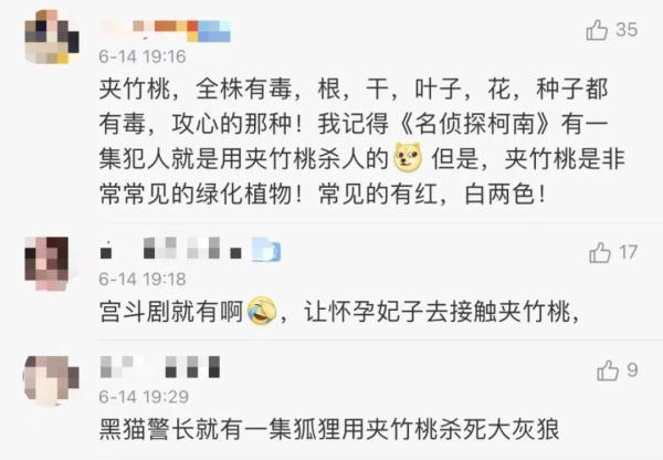 女孩和花合影中毒，網(wǎng)友：安陵容的話要信……