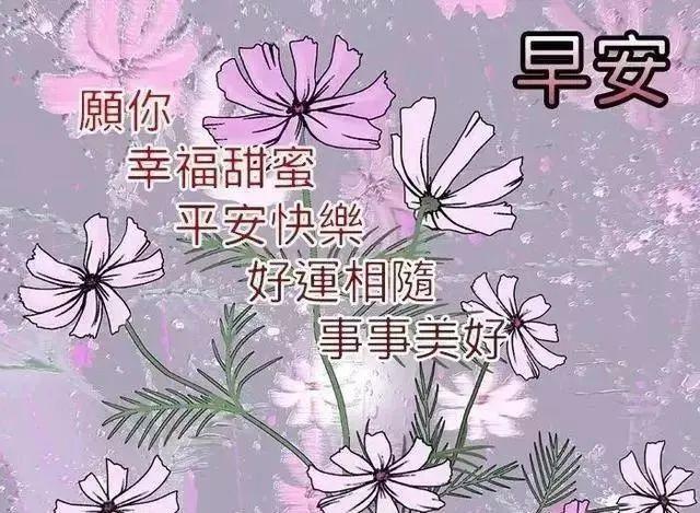 非常漂亮的美女早上好動(dòng)態(tài)表情圖片 早晨好幸福暖心的美女問候表情