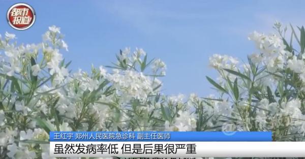 女孩和花合影中毒，網(wǎng)友：安陵容的話要信……